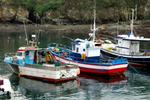 Barcos pesca Tapia de Casariego