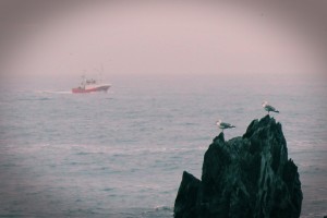 Costa barco pesca gaviota roca Asturias mar cantábrico