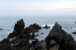 Rocas gaviotas barco al fondo pesca mar cantábrico Asturias
