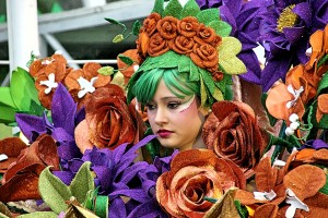 Desfile Carnaval 2016 Ourense Orense 11