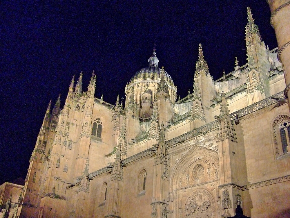 Fachada de la catedral de Salamanca desde la plaza de Anaya