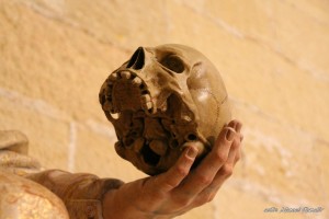Cráneo en mano de escultura de San Bruno estatua Catedral Jerez de la Frontera autor Manuel Ramallo