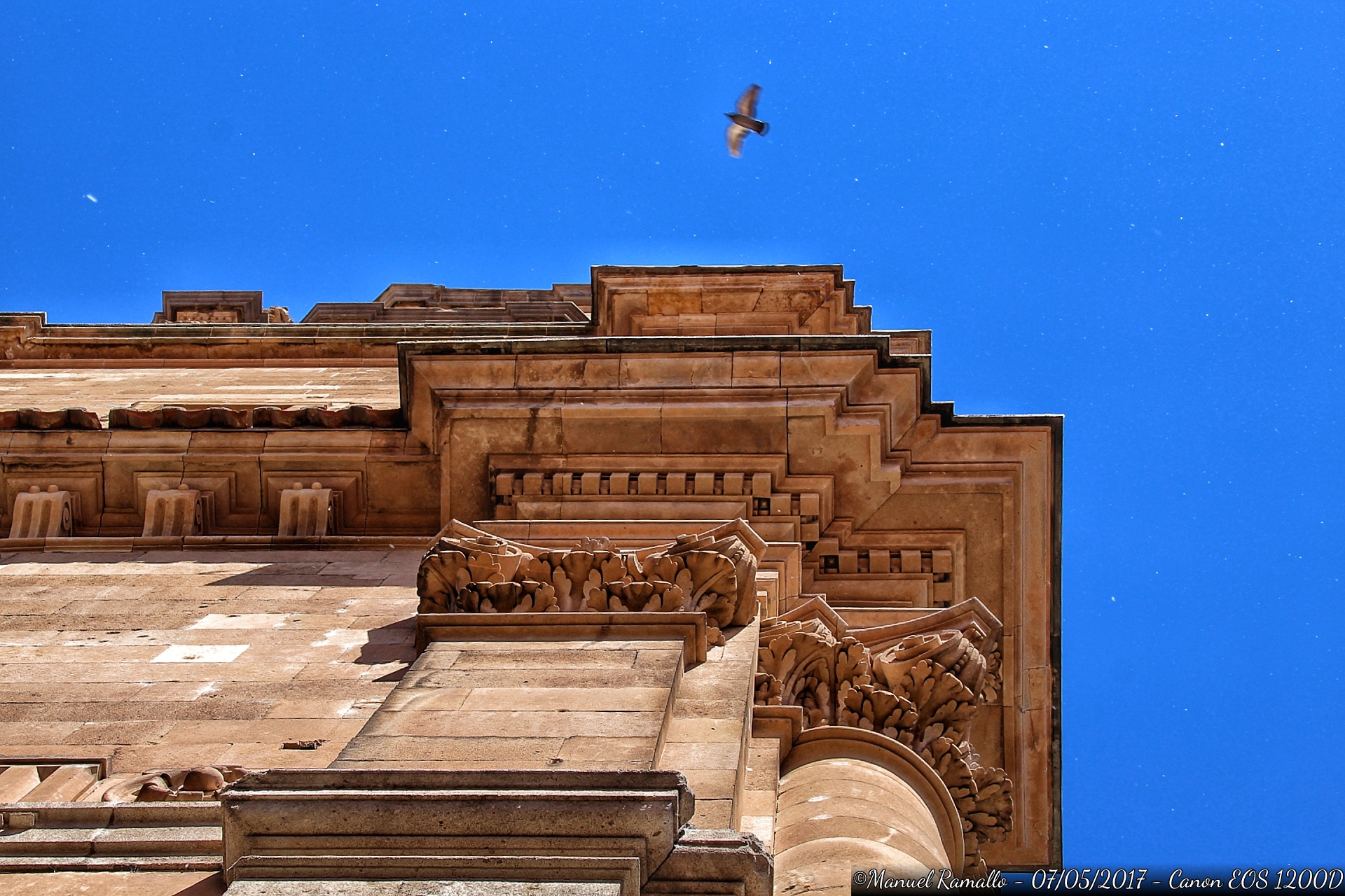 fachada-universidad-pontificia-salamanca-paloma-volando