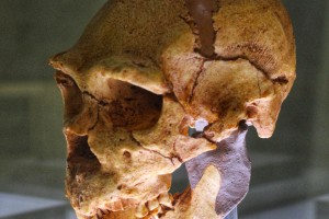 homo-heidelbergensis-atapuerca-miguelon-400000-anos-antiguedad