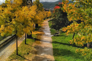 El otoño y el río Miño