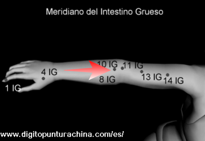 punto-10-del-meridiano-de-intestino-grueso-link-al-manual-de-digitopuntura-gratis-online-mas-abajo