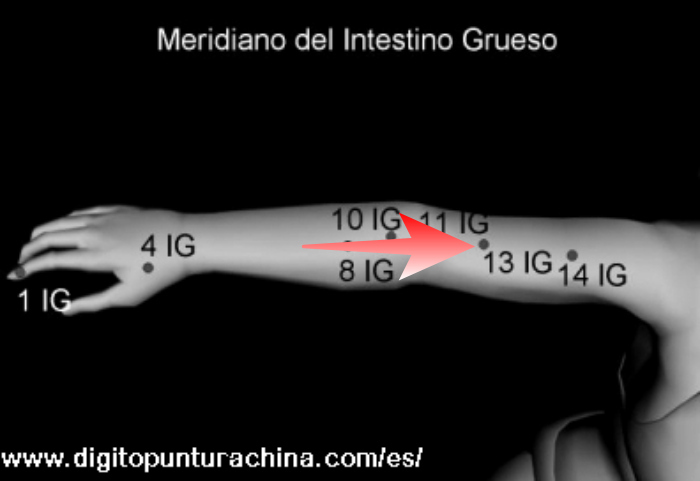punto-13-del-meridiano-de-intestino-grueso-link-al-manual-de-digitopuntura-gratis-online-mas-abajo