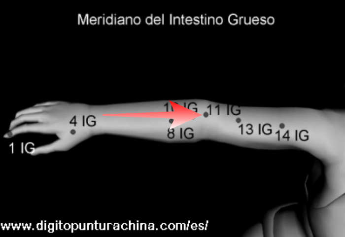 punto11-del-meridiano-de-intestino-grueso-link-al-manual-de-digitopuntura-gratis-online-mas-abajo